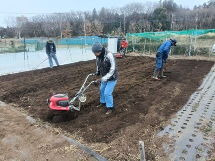 2026年2月7日(土)曇り ちらちら雪