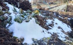 2026年2月10日(火)晴れ