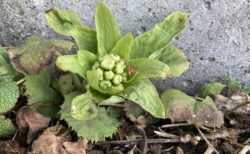 2026年2月14日(土)晴れ