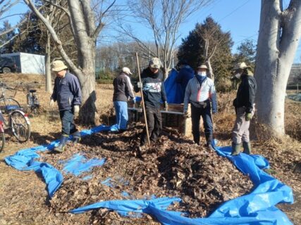 2026年1月31日(土)晴れ