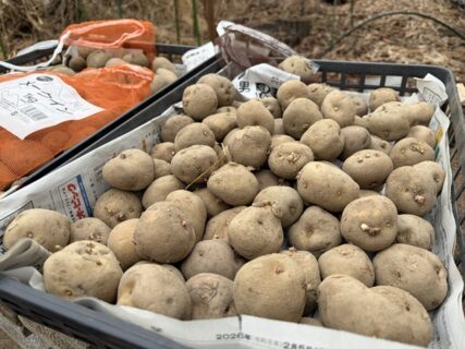 2026年2月17日(火)　曇り　