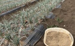 2026年2月24日(火)曇り