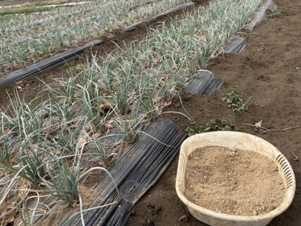 2026年2月24日(火)曇り