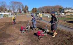 2026年2月3日(火)晴れ