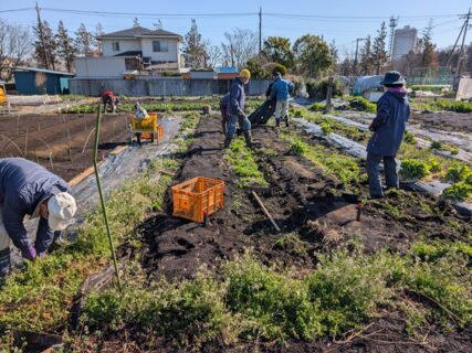 2026年3月11(水)晴れ