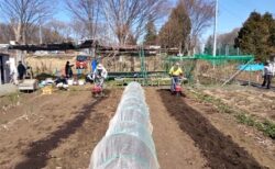 2026年3月24日(火)晴れ