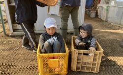 2026年3月14日(土)晴れ