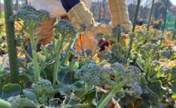 2026年3月21日(土)晴れ