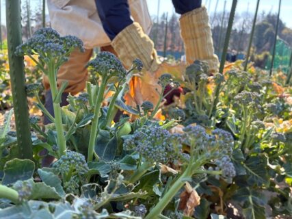 2026年3月21日(土)晴れ