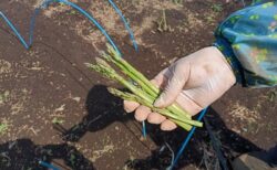 2026年3月28日(土)晴れ