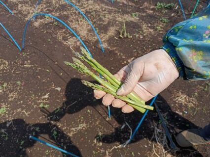 2026年3月28日(土)晴れ