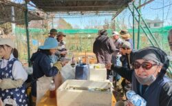 2026年2月28日(土)晴れ