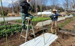 2026年3月7日(土)晴れ