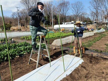 2026年3月7日(土)晴れ