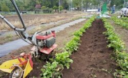 2026年4月14日(火)晴れ