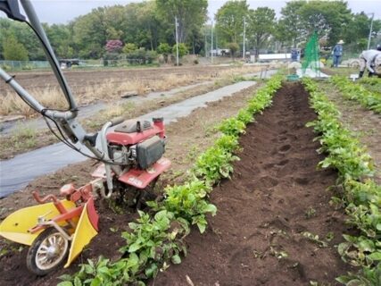 2026年4月14日(火)晴れ