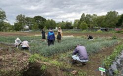 2026年4月21日(火)曇り