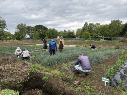 2026年4月21日(火)曇り