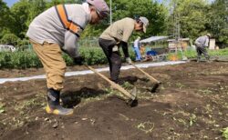 2026年4月18日(土)晴れ