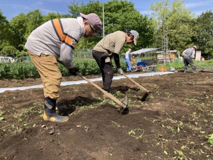 2026年4月18日(土)晴れ