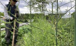 2026年4月25日(土)曇り