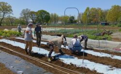 2026年4月11日(土)晴れ