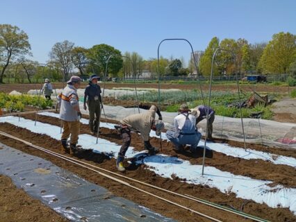 2026年4月11日(土)晴れ