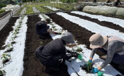 2026年4月28日(火)晴れ