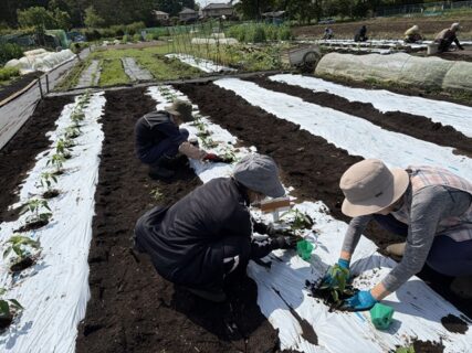 2026年4月28日(火)晴れ