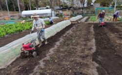 2026年4月1日(水)曇りのち小雨