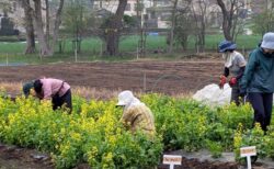 2026年4月7日(火)曇り