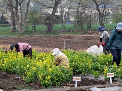 2026年4月7日(火)曇り
