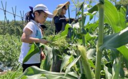 2026年5月30日(土)晴れ
