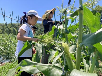 2026年5月30日(土)晴れ