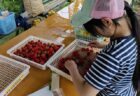 2026年5月26日(火)曇り