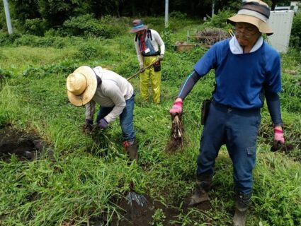 2026年6月21日(日)曇り