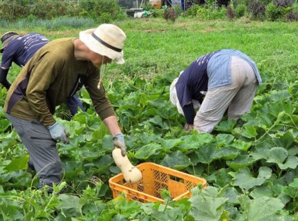 2026年8月16日(日)曇り