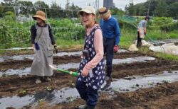 2026年9月19日(土)曇りときどき小雨