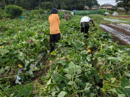 2026年9月1日(火)曇り