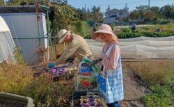 2026年10月17日(土)晴れ