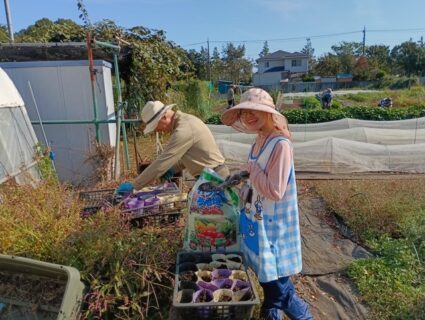 2026年10月17日(土)晴れ